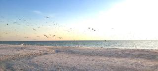 Sunset Vistas 411N - St Pete Beach - 7