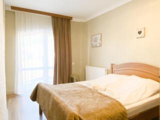 Horizont Bakuriani Apartment 32 - Bakuriani - 3
