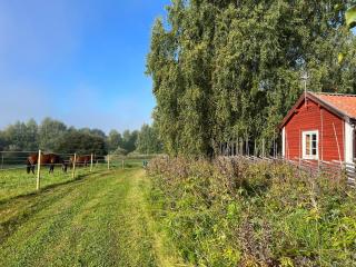 Gammelgården Guesthouse - Ljusdal - 2