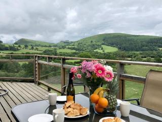 Offa's Dyke Lodge - Uk10835 - Old Radnor - 5