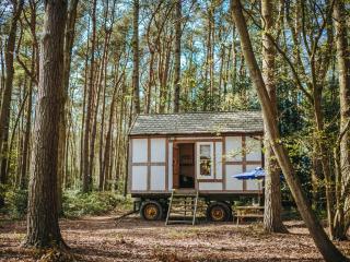 Jacobs Folly-Qu7115 - Melton Constable - 7