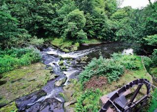 The Wheelhouse - Linlithgow - 8
