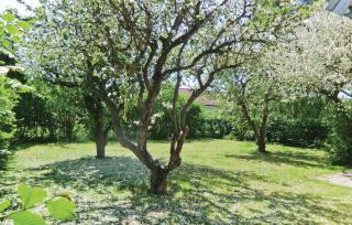 Holiday Home Lertagsvägen Mörbylånga Ii - Mörbylånga - 5