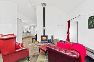 Kite Cottage - Capel-Ifan - 2