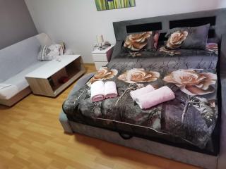 ViP ROOMS PRENOCISTE 026 - Smederevo - 3
