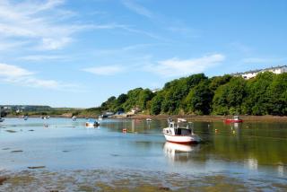 Kingfisher-Qc1185 - Milford Haven - 6