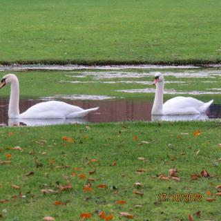 The Old Coach House - 3