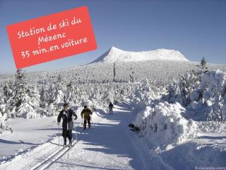 Au Lion d'Or - Le Puy-en-Velay - 2