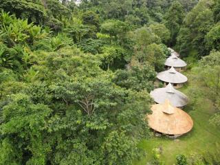 Forest falls Garden Maerim Chiangmai ตาดปลาแคมป์ออร์แกนิคฟาร์มสเตย์เชียงใหม่ - Ban Lua Ka - 2