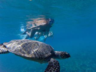 Crystal Sands - Maafushi - 3