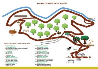 CHALET NEL BOSCO - TENUTA BOCCHINERI - 0