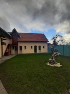 Vila Dionysos Brasov - 9