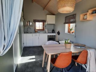 Lodge in Drenthe with Scenic Veranda - Ruinerwold - 8