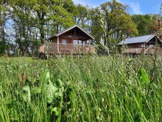 Composite lodges with shared space in Drenthe - Ruinerwold - 3