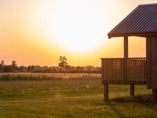 Composite lodges with shared space in Drenthe - Ruinerwold - 5