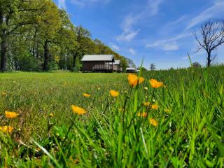 Composite lodges with shared space in Drenthe - Ruinerwold - 4