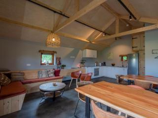 Lodge in Drenthe with Scenic Veranda - Ruinerwold - 4