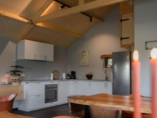 Lodge in Drenthe with Scenic Veranda - Ruinerwold - 3