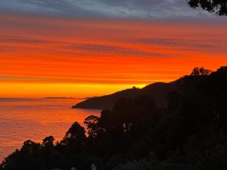 Magnifique Villa Neuve Vue Mer - Cavalaire-sur-Mer - 6