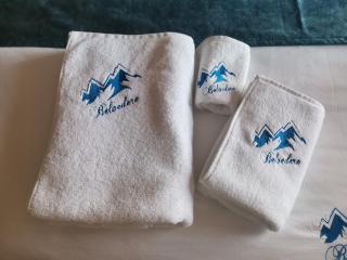 BELVEDERE A9 ( N LUX MILMARI RESORT) - Kopaonik - 3