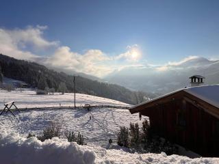 Maierl-Alm & Maierl-Chalets - Kirchberg in Tirol - 2