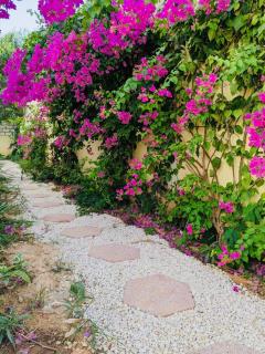 Villa Saraba - Somone - 5
