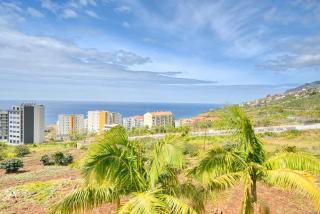 Levada dos Piornais, a Home in Madeira - Funchal - 9