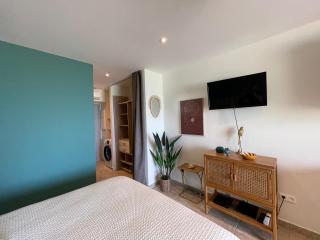 Studio on the beach - Saint Martin - 5