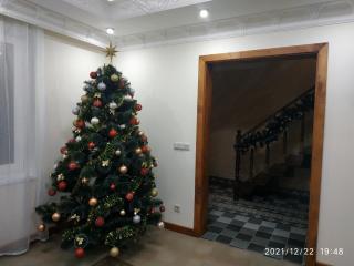 NestG Guest House - Pilipets - 7