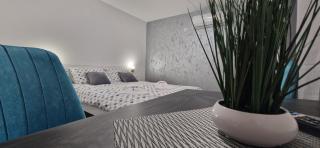 Apartmani Ostojic - Vrdnik - 3