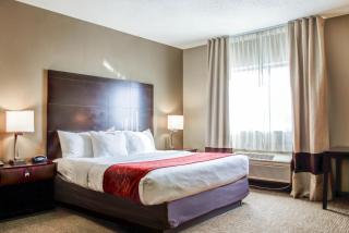 Comfort Suites Lombard - Addison - Lombard - 8