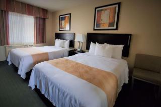 Quality Inn & Suites Anaheim at the Park - Anaheim - 5