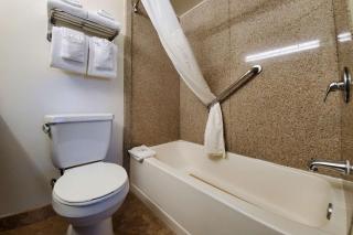 Quality Inn & Suites Anaheim at the Park - Anaheim - 3
