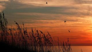 Sea Breeze 106 - St Pete Beach - 4