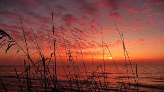 Sea Breeze 106 - St Pete Beach - 3