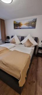 Waterfalls Apartment 3 - Triberg - 0