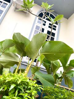 Villa Ruby - with private swimming pool - Kota Bharu - 6