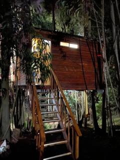 Casa en el Árbol Guatavita - 2