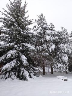 Gospodarstwo Agroturystyczne U Stasików - 2