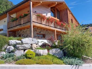 Reggia al Sole - Pieve di Cadore - 0