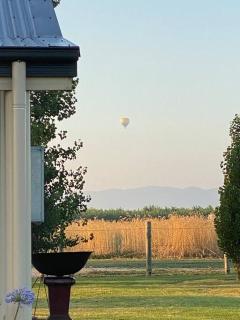 'Vineyard Cottage' A Golden Escape among the Vines - Mudgee - 6