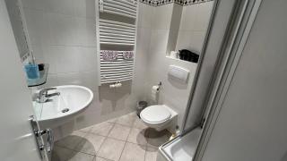 Appartment über den Dächern von Erfurts Altstadt - Erfurt - 1