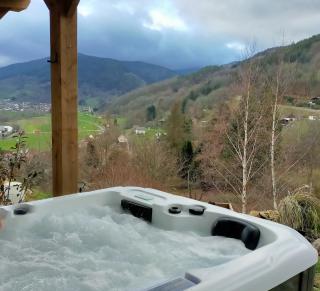 Au chalet de JO - Muhlbach-sur-Munster - 6