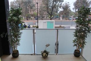 Tranquil, Relaxing Forrest Style Apartment - Braddon CBD - Canberra - 3
