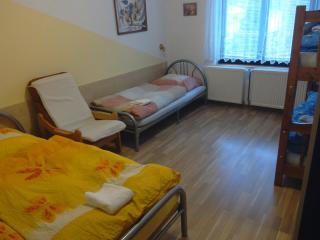Apartmány pod Suchým Vrchem - Orličky - 8