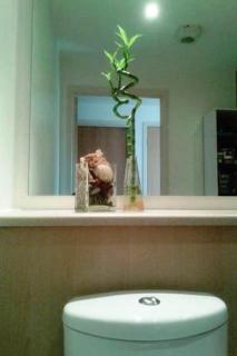 1 bedroom stylish apartment in zone 2 close to center - whole apartment - Londra - 5