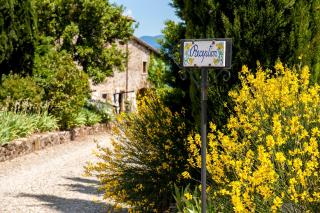 Florence Winery AgriResort - Fattoria Lavacchio - 9