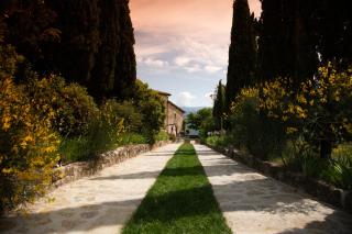 Florence Winery AgriResort - Fattoria Lavacchio - 8