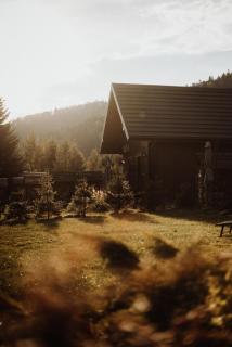 Szumilove Domki z saunami w Bieszczadach - Baligród - 8
