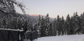 Dom Salamandra z panoramą gór - Rajcza - 7